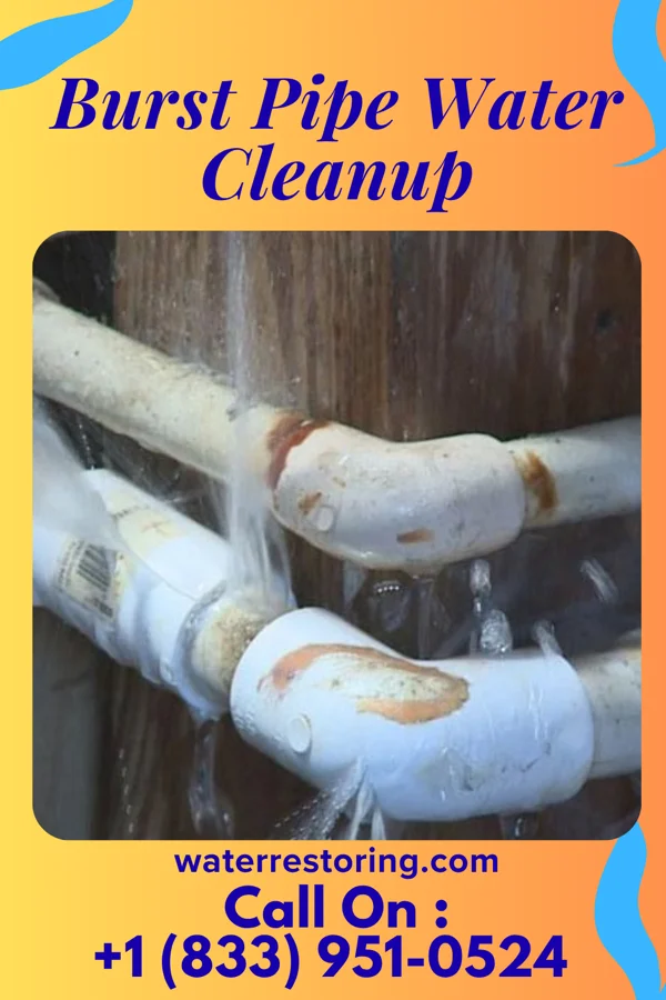 Burst Pipe Water Cleanup in Rogers, AR